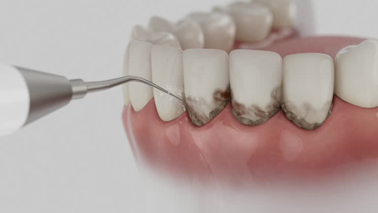 Reliable Dental contractor in Swansboro, NC by Dentist Open Now